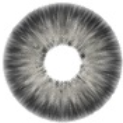 Pattaya Grey 14.2mm